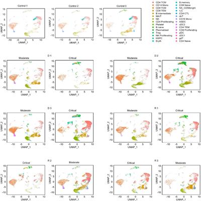 BCR, not TCR, repertoire diversity is associated with favorable COVID-19 prognosis